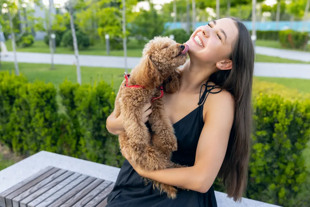 A brown dog licking a smiling woman in park.