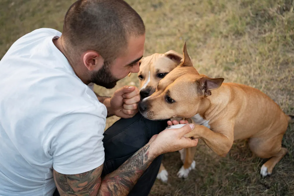 A man holding a dog's paw while another dog is sniffing his other hand.