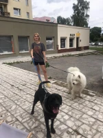 Opieka nad pupilami