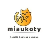 Całodobowy hotelik dla kotów