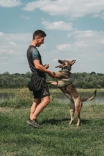 Najlepszy hotel dla psów Crazy Dogz 