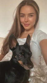 Opieka nad psem lub psami 
