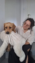 Petsitter. Zaopiekuję się Twoim zwierzątkiem