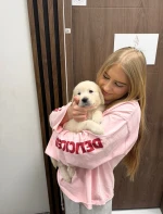 petsitter