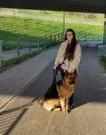 Zaopiekuję się Twoim pupilem 